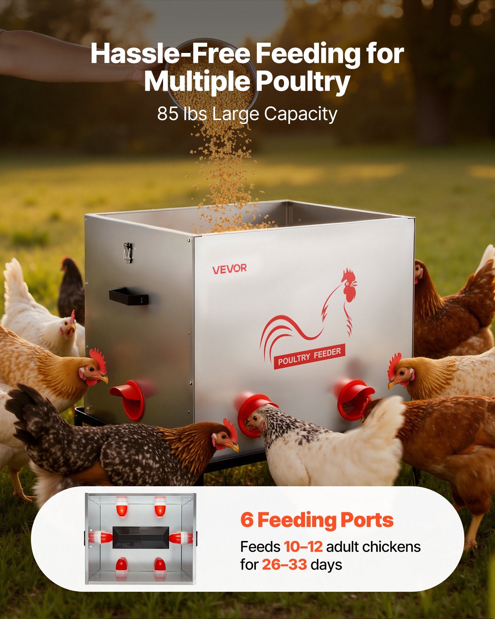 Automatic Chicken Feeder, 38.56 kg Capacity, 6 Feeding Ports No-Waste Poultry Feeder with Built-In Divider, V952-JQWLQ85LBS6KPAOVX001V0