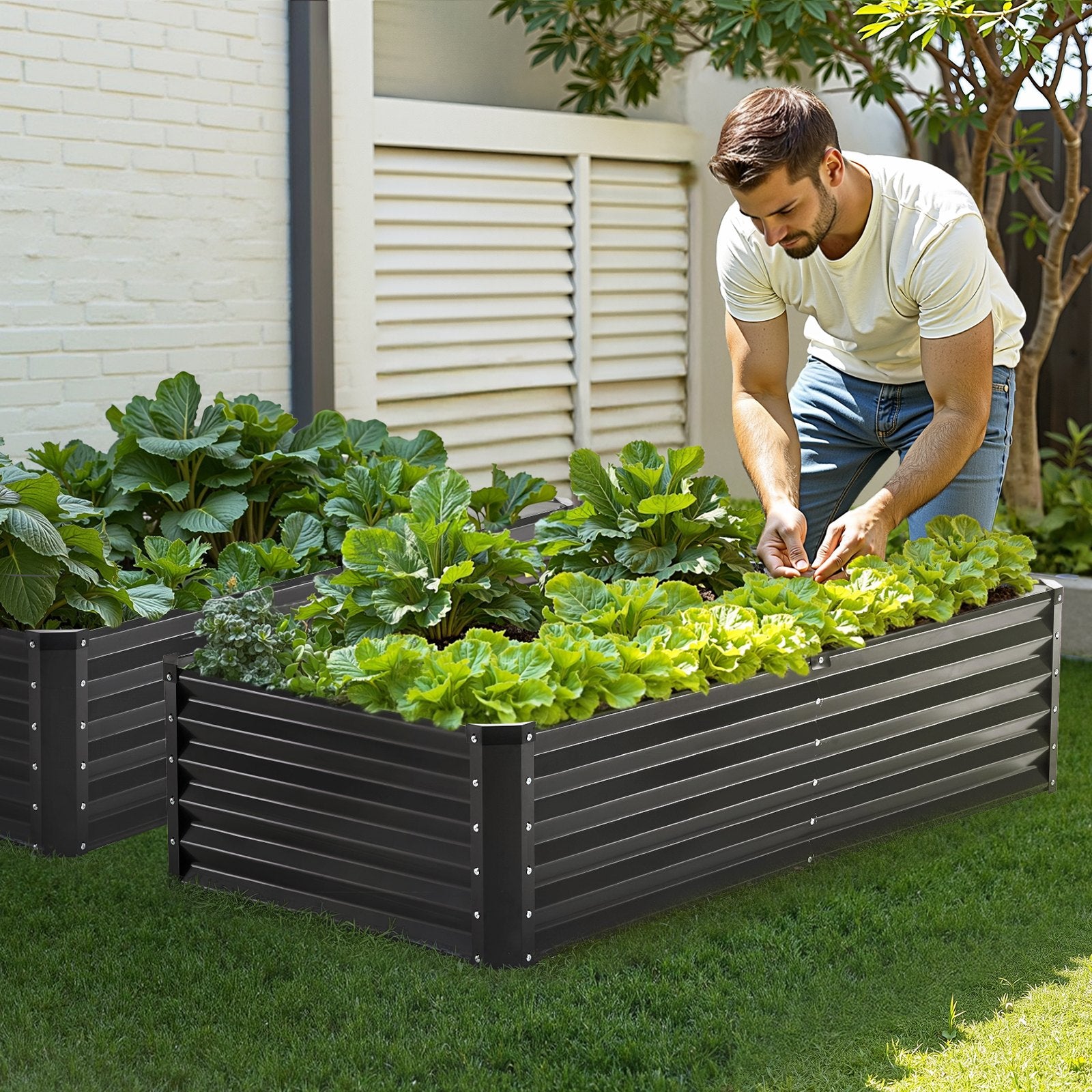 Metal Raised Garden Bed, 6 x 3 x 1.5 ft Outdoor Galvanized Planter Box, with Open Bottom, Large Planter V952-JSFXZZCZFXSHLZRC4V0