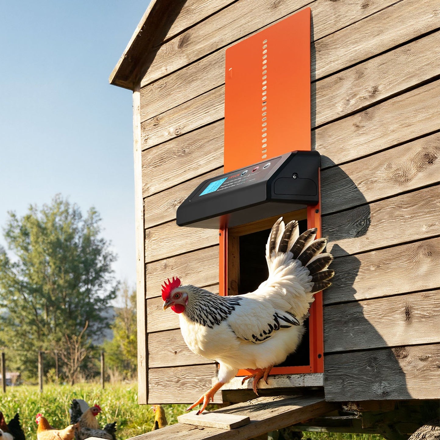 Automatic Chicken Coop Door, Battery Powered Chicken Coop Door with Timer & Manual Setting, Anti-Pinch V952-JSKMQCSSKGDCNGEKL001V9
