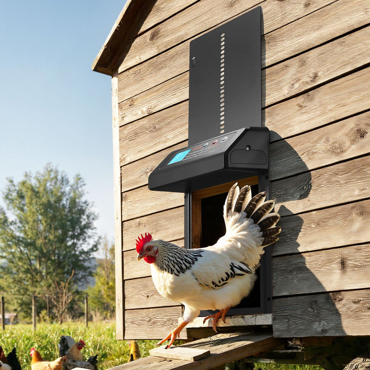 Automatic Chicken Coop Door, Battery Powered Chicken Coop Door with Timer & Manual Setting, Anti-Pinch V952-JSKMQHSSKGDCAG9SN001V9