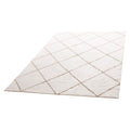 Indoor Plush Area Rugs, 2.44 x 3.05m Plush Carpet, Area Rugs Furry with Long Plushs Pile, Thick & Durable V952-JXDDTSSCR8X10TZKW001V0
