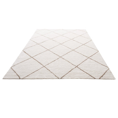 Indoor Plush Area Rugs, 2.44 x 3.05m Plush Carpet, Area Rugs Furry with Long Plushs Pile, Thick & Durable V952-JXDDTSSCR8X10TZKW001V0
