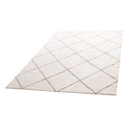 Indoor Plush Area Rugs, 2.44 x 3.05m Plush Carpet, Area Rugs Furry with Long Plushs Pile, Thick & Durable V952-JXDDTSSCR8X10TZKW001V0