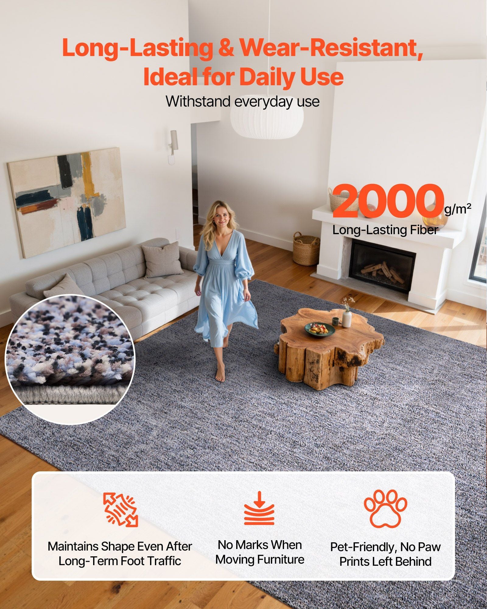 Indoor Plush Area Rugs, 2.74 x 3.66 m Plush Carpet, Area Rugs Furry with Long Plushs Pile, Thick & Durable V952-JXTDDTSSCR9X6FZJ6001V0