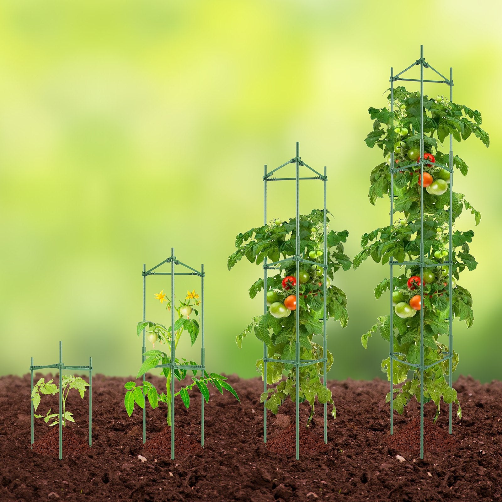 4 Packs Tomato Cages for Garden 1620 mm Tomato Plant Stakes Support Cage V952-KZDFQZZZCJ68FH9Y4V0