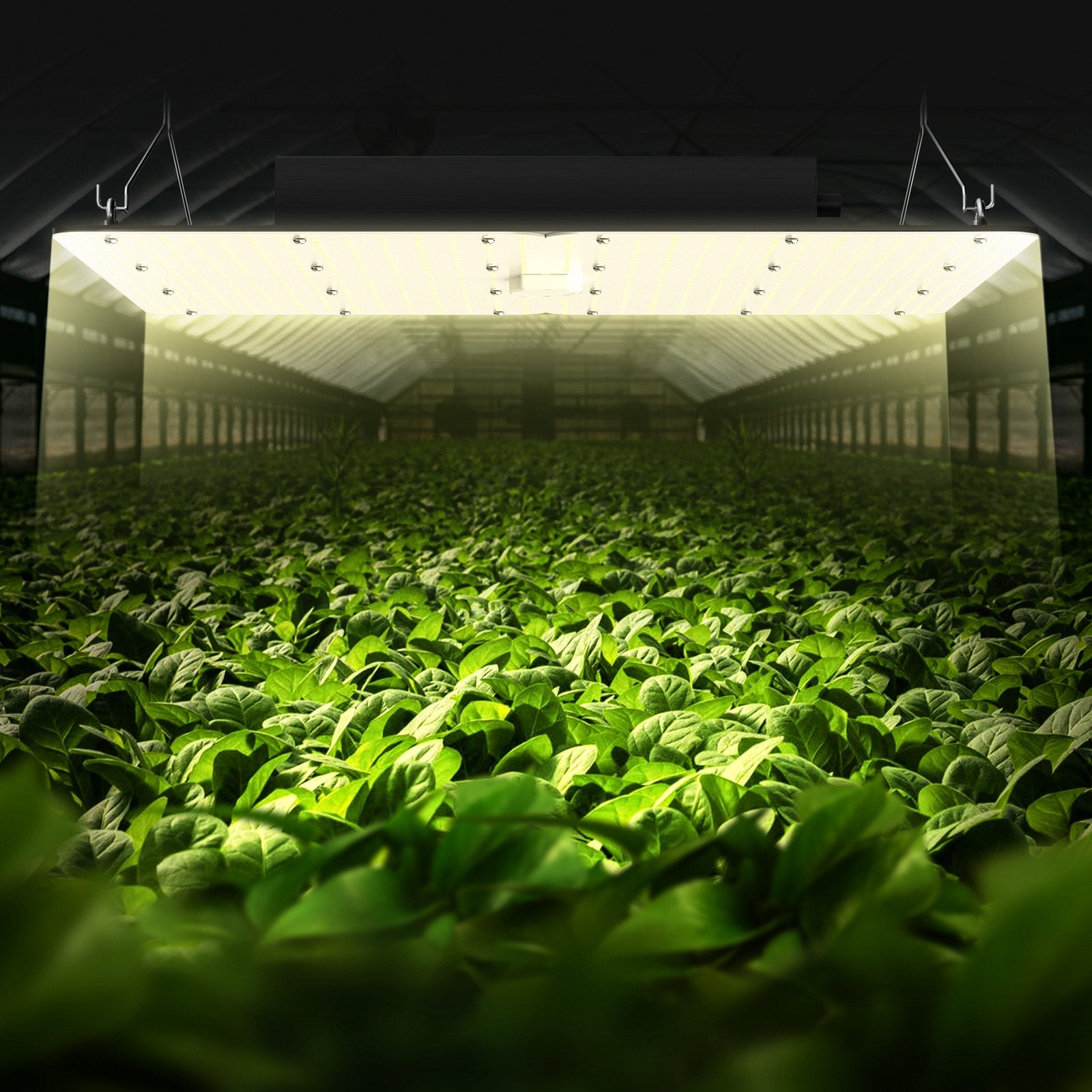 LED Grow Light, 400W Full Spectrum Dimmable, High Yield Samsung 2B1B Diodes Growing Lamp for Indoor Plants V952-LZBZWSZ420W23WDR1V3