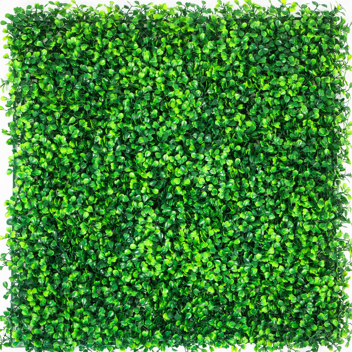 Artificial Boxwood Panels, 6 PCS50.8x50.8cmBoxwood Hedge Wall Panels, PE Artificial Grass Backdrop Wall 4 cm, V952-MLC20206PC400O5TNV0