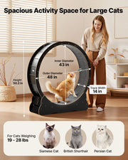 Cat Exercise Wheel, 120 cm Wooden Cat Running Wheel for Indoor Cats up to 12.7 kg, Cats Treadmill with V952-MZMPBJLHSMDB3N5ZN001V0