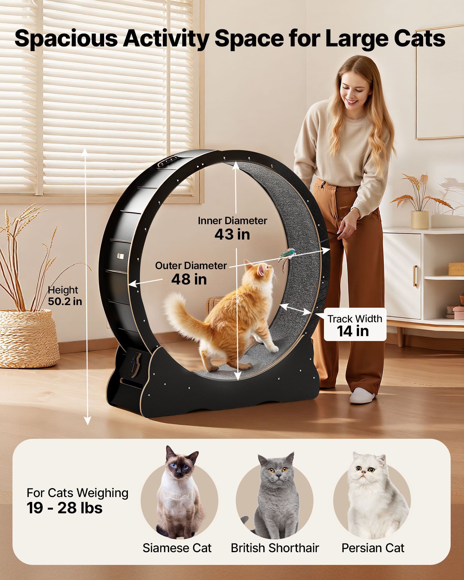 Cat Exercise Wheel, 120 cm Wooden Cat Running Wheel for Indoor Cats up to 12.7 kg, Cats Treadmill with V952-MZMPBJLHSMDB3N5ZN001V0