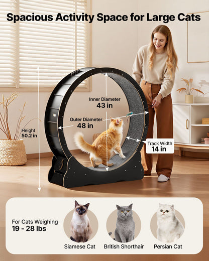 Cat Exercise Wheel, 120 cm Wooden Cat Running Wheel for Indoor Cats up to 12.7 kg, Cats Treadmill with V952-MZMPBJLHSMDB3N5ZN001V0