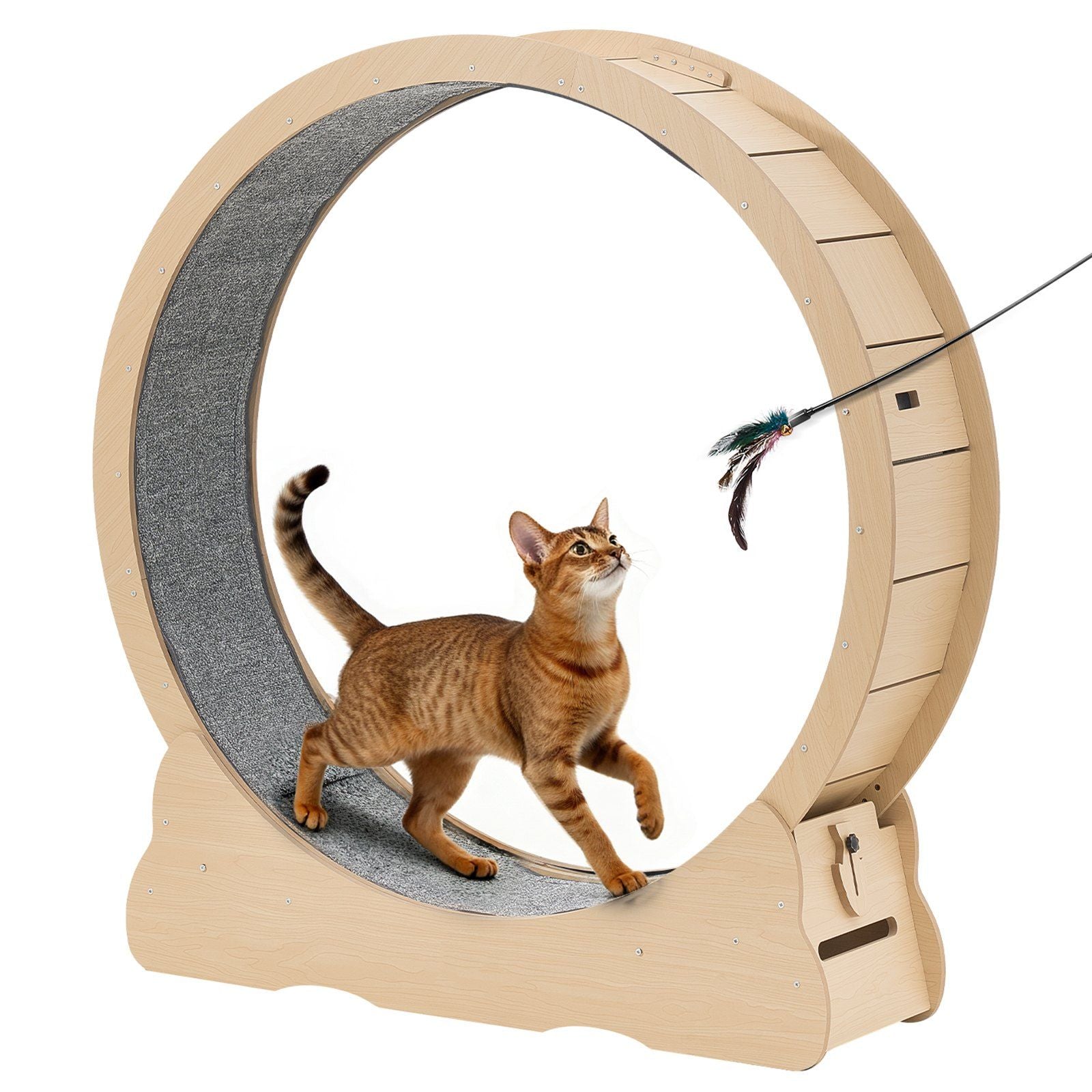 Cat Exercise Wheel, 120cm Wooden Cat Running Wheel for Indoor Cats up to 12.7kg Cats Treadmill with Carpeted V952-MZMPBJMWSMDB3W6JK001V0