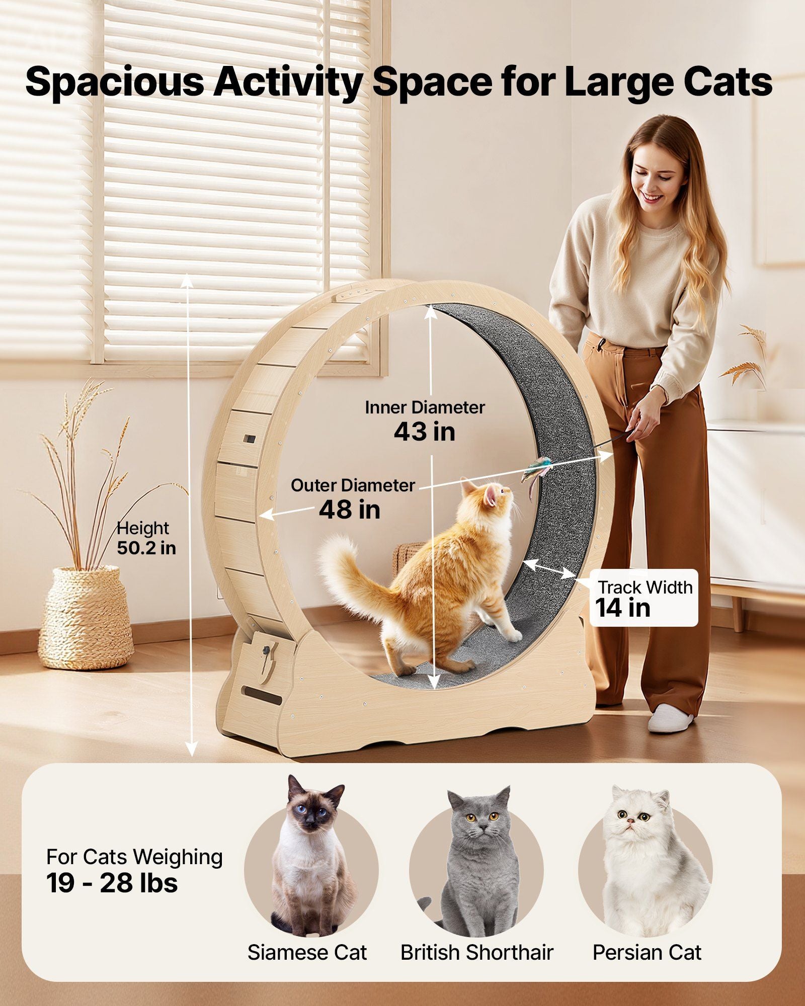 Cat Exercise Wheel, 120cm Wooden Cat Running Wheel for Indoor Cats up to 12.7kg Cats Treadmill with Carpeted V952-MZMPBJMWSMDB3W6JK001V0