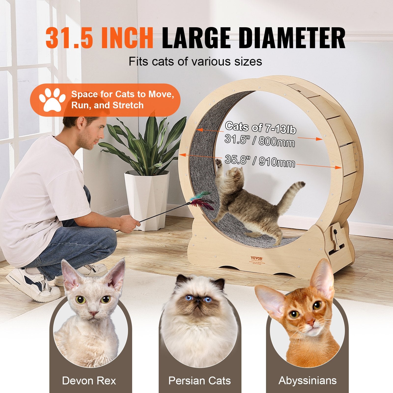 Cat Exercise Wheel, Large Cat Treadmill Wheel for Indoor Cats, 35.8 inch Cat Running Wheel with Detachable V952-MZMPBJYMSMDBCOLWSV0