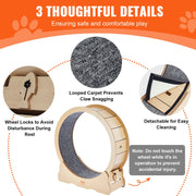Cat Exercise Wheel, Large Cat Treadmill Wheel for Indoor Cats, 35.8 inch Cat Running Wheel with Detachable V952-MZMPBJYMSMDBCOLWSV0