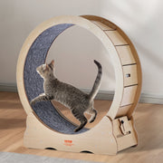 Cat Exercise Wheel, Large Cat Treadmill Wheel for Indoor Cats, 35.8 inch Cat Running Wheel with Detachable V952-MZMPBJYMSMDBCOLWSV0