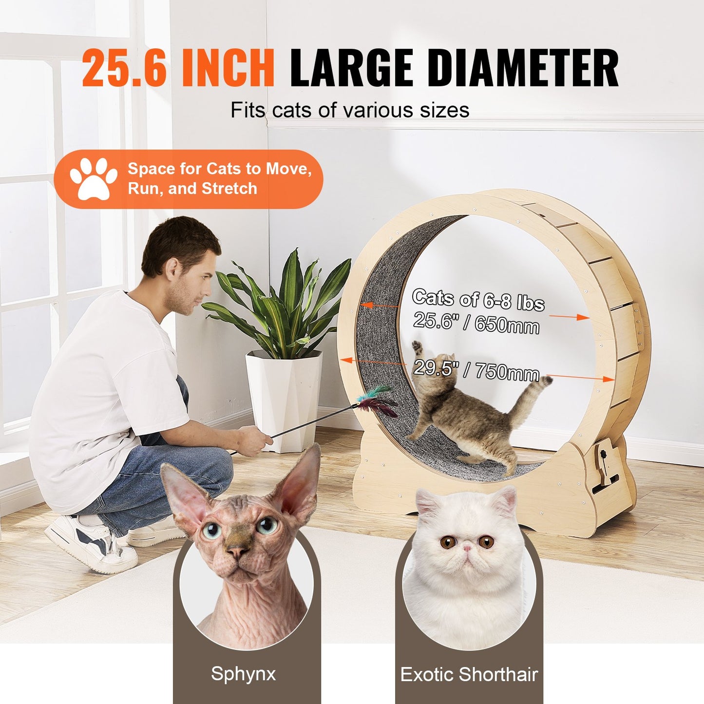Cat Exercise Wheel Large Cat Treadmill Wheel for Indoor Cats 29.5 inch V952-MZMPBJYMSMDBZFT86V0