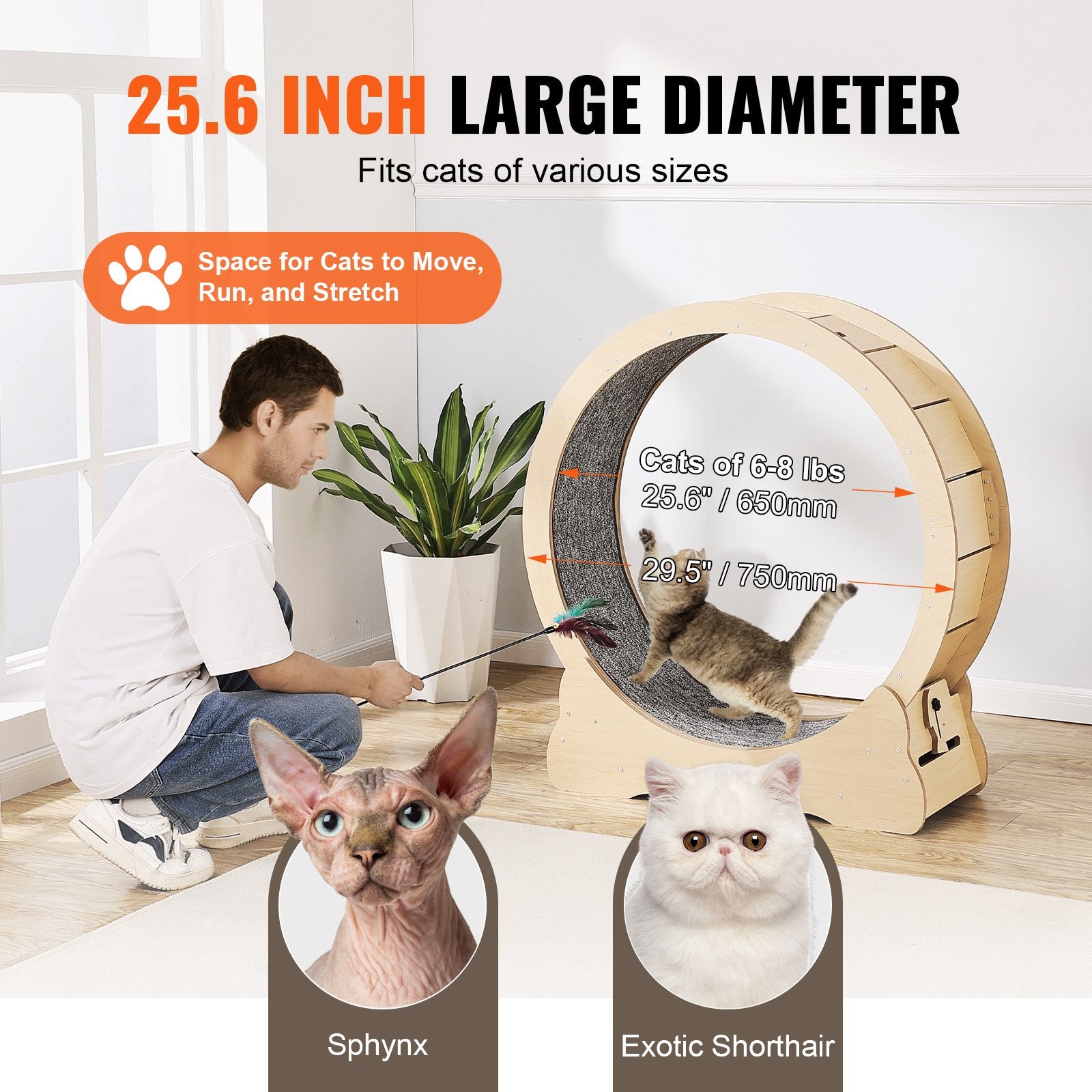 Cat Exercise Wheel Large Cat Treadmill Wheel for Indoor Cats 29.5 inch V952-MZMPBJYMSMDBZFT86V0