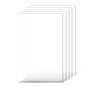 PET/Plexiglass Sheets, 5-Pack Plastic Sheet, 610 x 914 mm 1 mm Thick Transparent Clear Flexible Plastic V952-PETSLB2436INCG8GHV0