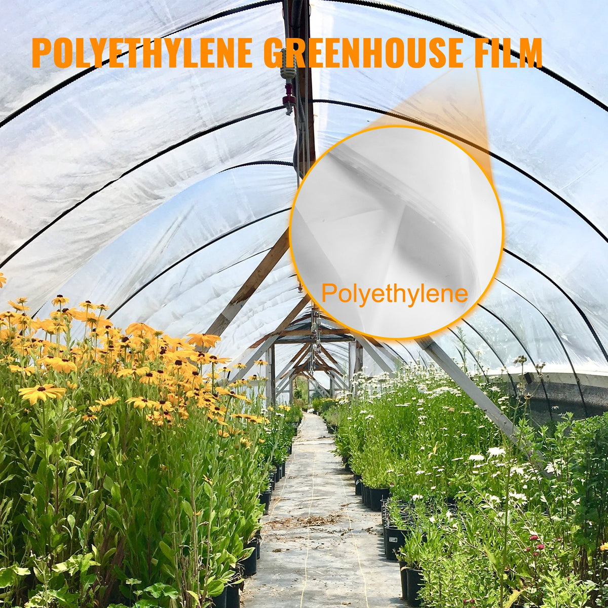 Greenhouse Film, Greenhouse Polyethylene Film 20x28 ft Greenhouse Plastic V952-PEWSM2028FT000001V0