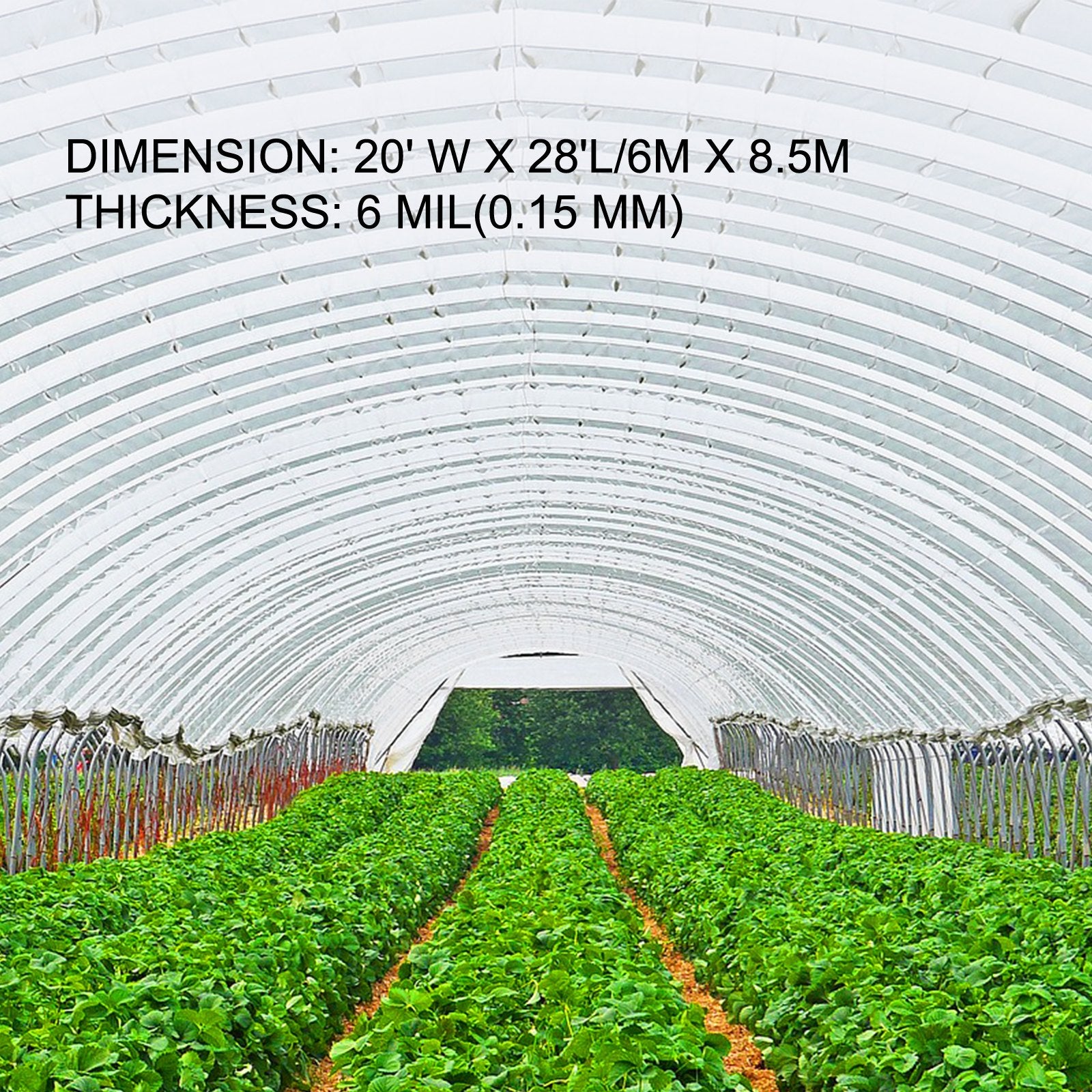 Greenhouse Film, Greenhouse Polyethylene Film 20x28 ft Greenhouse Plastic V952-PEWSM2028FT000001V0
