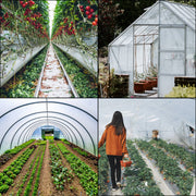 Greenhouse Film, Greenhouse Polyethylene Film 20x28 ft Greenhouse Plastic V952-PEWSM2028FT000001V0