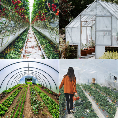 Greenhouse Film, Greenhouse Polyethylene Film 20x28 ft Greenhouse Plastic V952-PEWSM2028FT000001V0