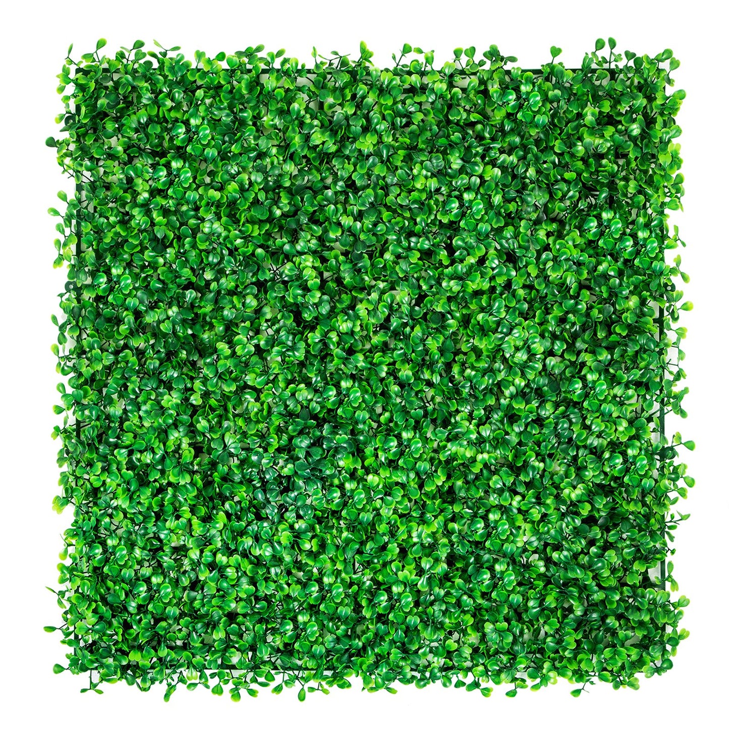 12PCS 10x10 inch Artificial Boxwood Panels, Boxwood Hedge Wall Mat,Artificial Grass Backdrop Wall, Privacy V952-PJSRZZWQ12PCFZ3DLV0