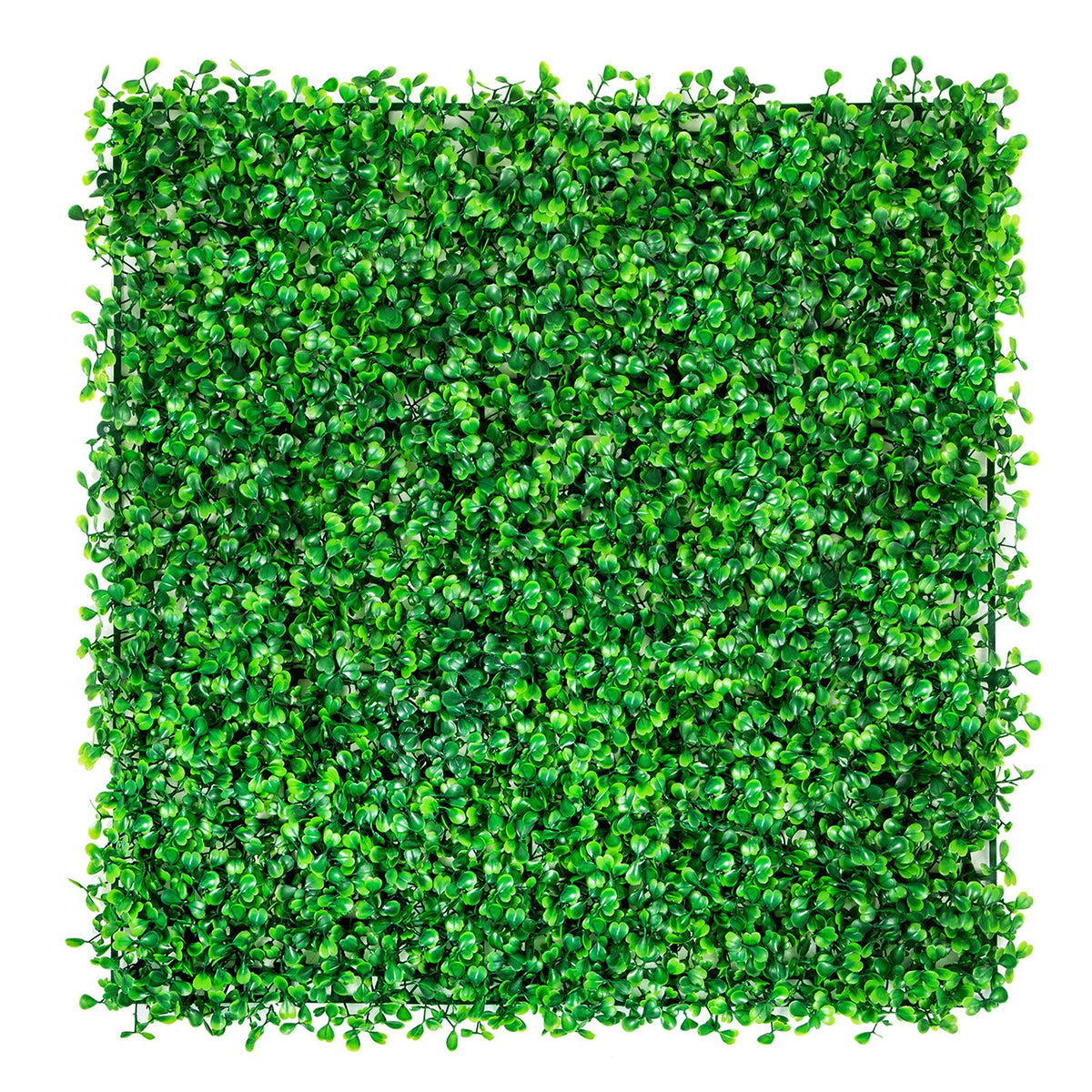 12PCS 10x10 inch Artificial Boxwood Panels, Boxwood Hedge Wall Mat,Artificial Grass Backdrop Wall, Privacy V952-PJSRZZWQ12PCFZ3DLV0