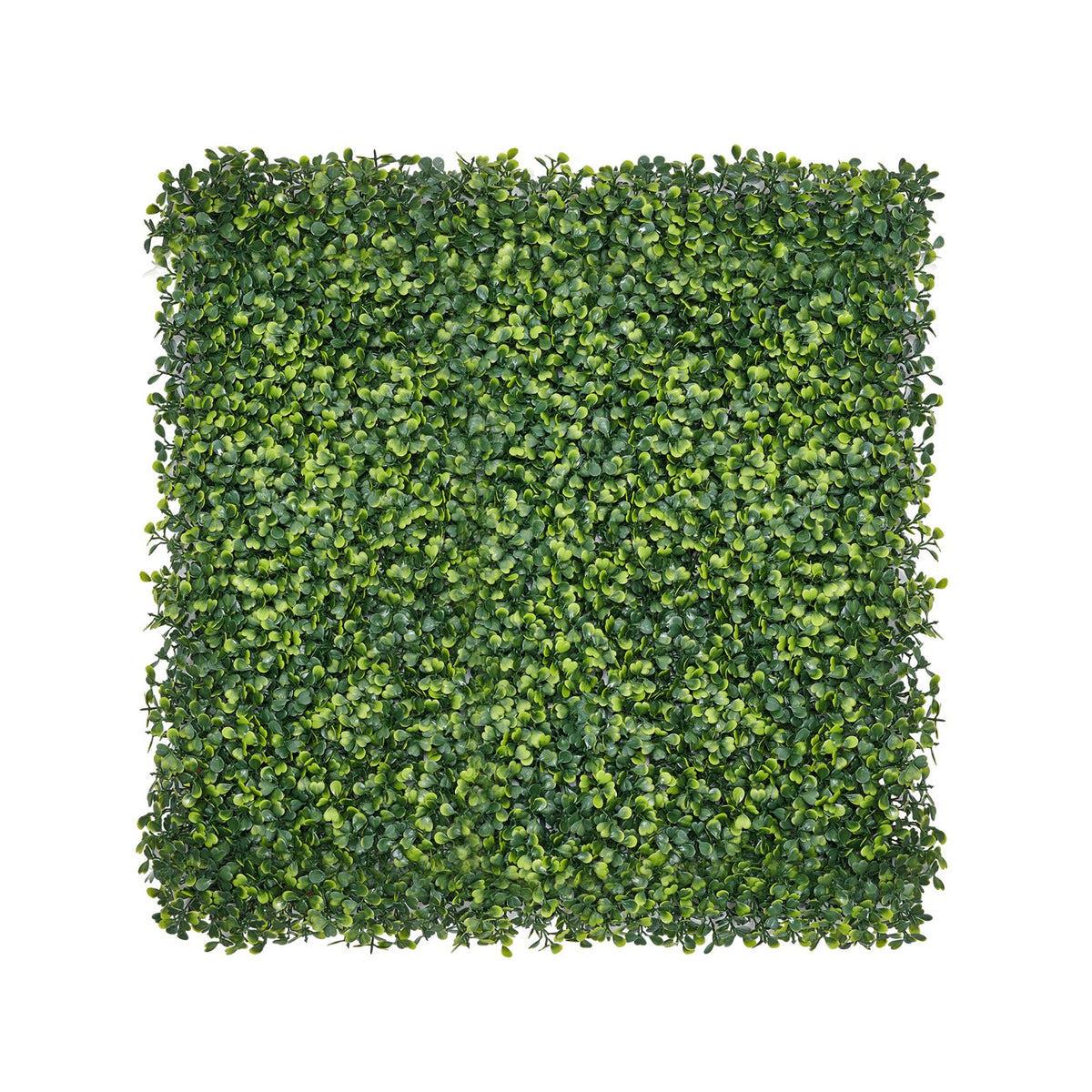 Artificial Grass Wall Panels, 40 x 120 inch, Milan Grass Greenery Boxwood Panel for Indoor Outdoor Green V952-PJSRZZWQ1PC4WGLQTV0