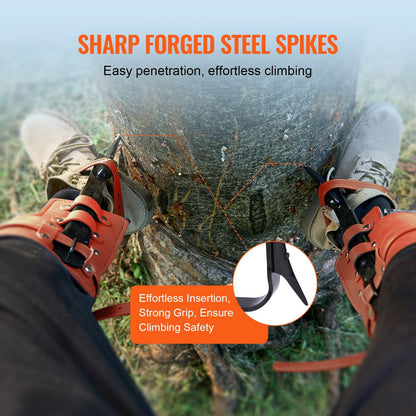 Tree Climbing Spikes Set, 1 Pair Alloy Steel Climbing Spurs with Safety Rope and Safety Harness, 350lbs Load V952-PSZZPZCZHKPZ0IXFTV0