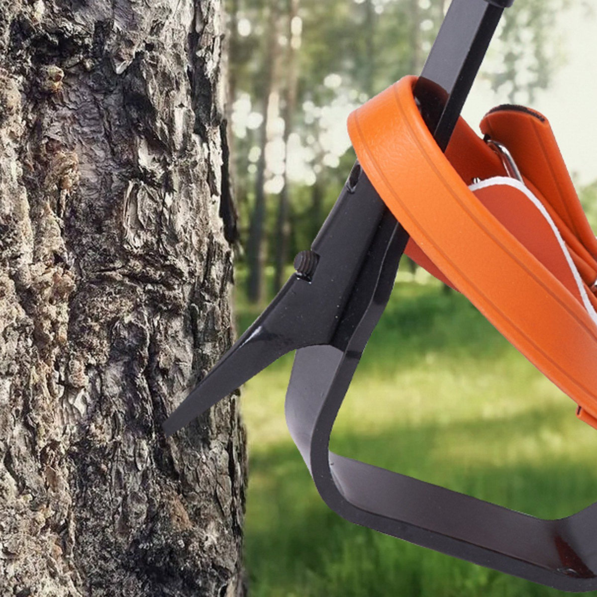 Tree Climbing Spikes Set, 1 Pair Alloy Steel Climbing Spurs with Safety Rope and Safety Harness, 350lbs Load V952-PSZZPZCZHKPZ0IXFTV0
