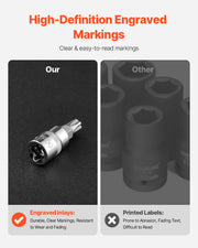 Torx Bit Socket and External Torx Socket Set, 60-Piece T6-T70, TT6-TT70, TP8-TP60, E4-E24, S2 Alloy Steel and V952-PTTT143812TOZF3DAV0