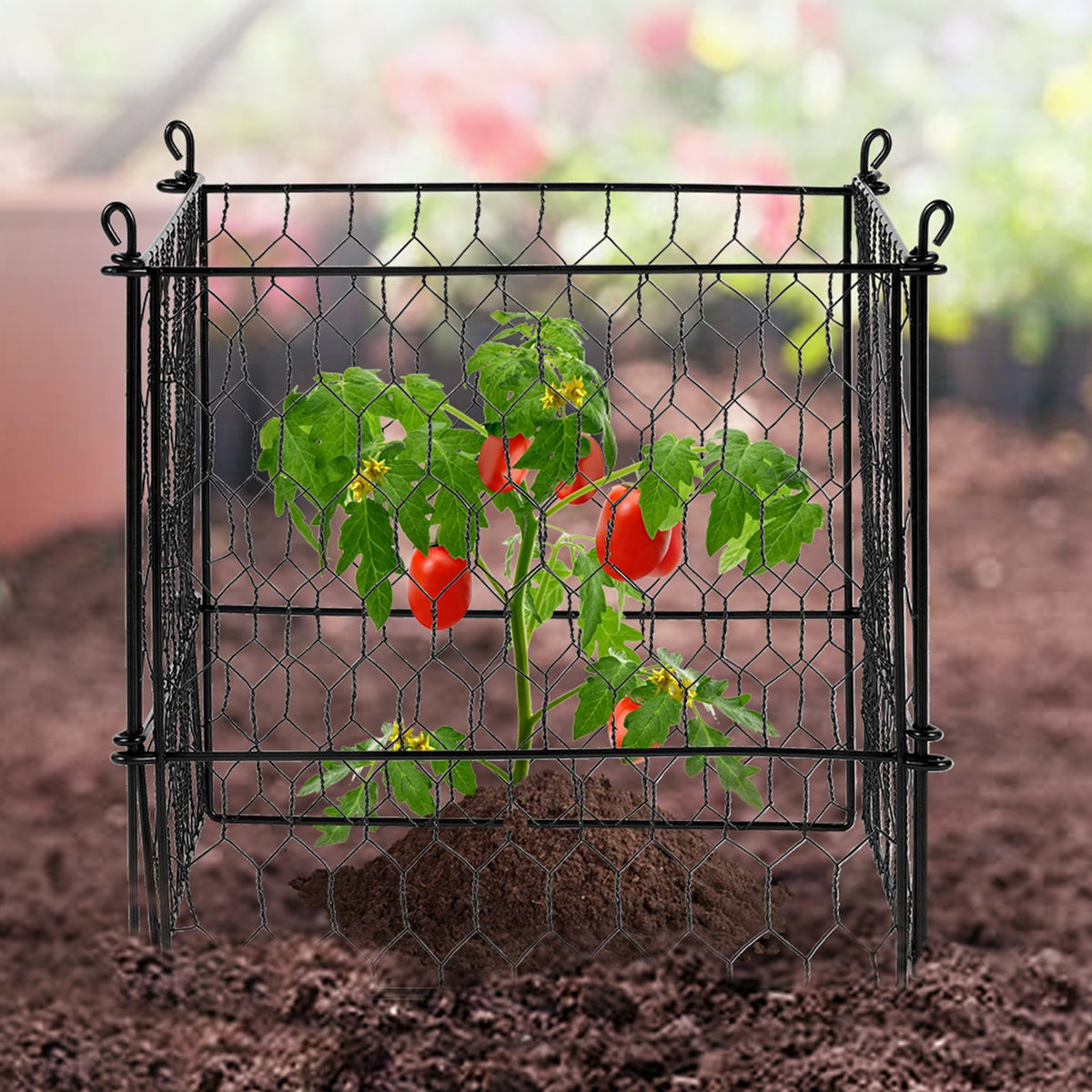 4 Pack Plant Protector from Animals, 13.4'' x 13.4'' Chicken Wire Plant Protector, Plant Cages for Outdoor V952-QBWZCL12YCHSE5ZGTV0