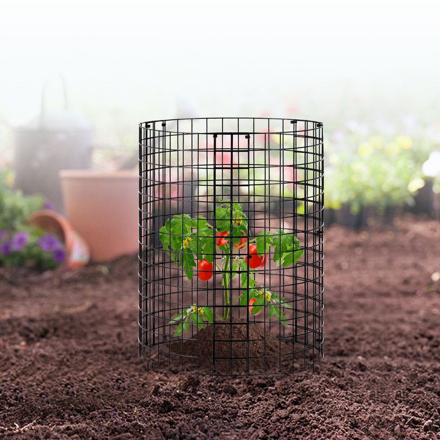 6 Pack Plant Protector from Animals, 320mm Dia. x 355mm H Chicken Wire Plant Protector, Plant Cages for V952-QBWZCL14YCHS4N9UIV0