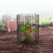 6 Pack Plant Protector from Animals, 320mm Dia. x 355mm H Chicken Wire Plant Protector, Plant Cages for V952-QBWZCL14YCHS4N9UIV0
