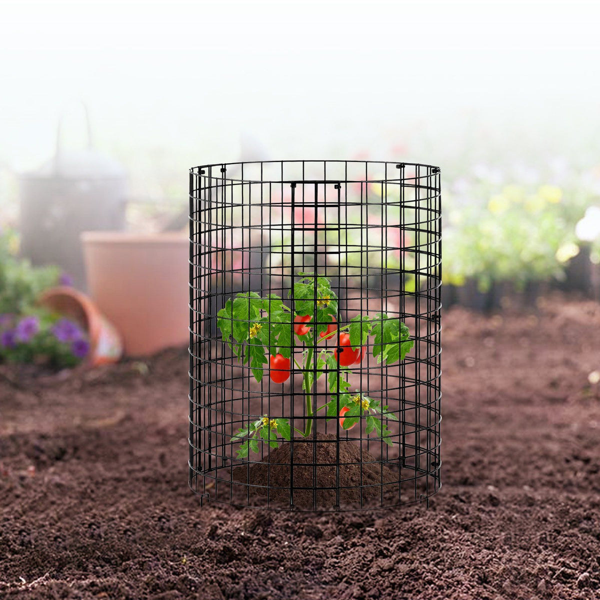 6 Pack Plant Protector from Animals, 320mm Dia. x 355mm H Chicken Wire Plant Protector, Plant Cages for V952-QBWZCL14YCHS4N9UIV0