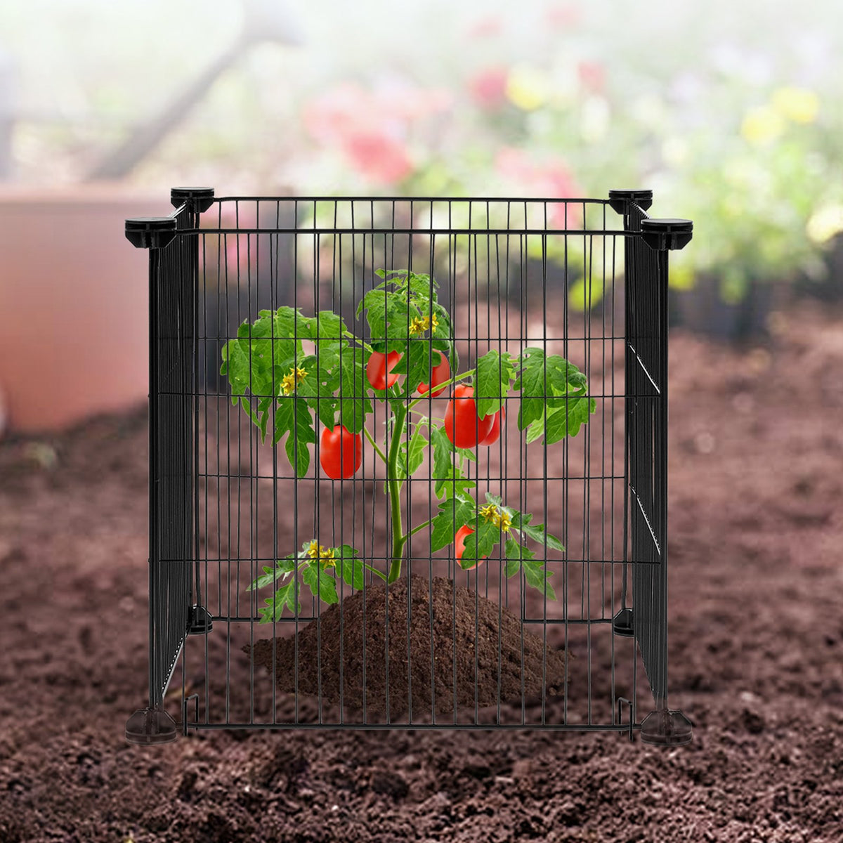 5 Pack Plant Protector from Animals, 390 mm x 390 mm Chicken Wire Plant Protector, Plant Cages for Outdoor V952-QBWZCL14YCHSHLKV6V0