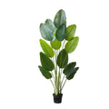 Artificial Bird of Paradise 1829 mm Tall, Fake Tropical Plants with with 13 Trunks & White Pot, Faux Floor V952-RZRDZWTTNZL6CG3Q9001V0