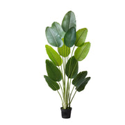 Artificial Bird of Paradise 1829 mm Tall, Fake Tropical Plants with with 13 Trunks & White Pot, Faux Floor V952-RZRDZWTTNZL6CG3Q9001V0