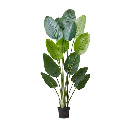 Artificial Bird of Paradise 1829 mm Tall, Fake Tropical Plants with with 13 Trunks & White Pot, Faux Floor V952-RZRDZWTTNZL6CG3Q9001V0
