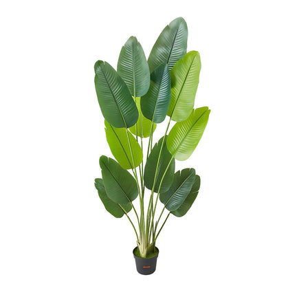 Artificial Bird of Paradise 1829 mm Tall, Fake Tropical Plants with with 13 Trunks & White Pot, Faux Floor V952-RZRDZWTTNZL6CG3Q9001V0