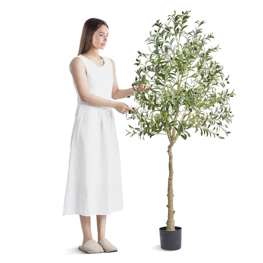 Artificial Olive Tree, 15.2cm Tall Faux Plant, Secure PE Material & Anti-Tip Tilt Protection Low-Maintenance V952-RZS6FTGLS000VAJSMV0