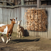 Livestock Hay Feeder 24 Gallons Wall Mounted Goat Hay Rack for Horses V952-SCWSQBGSSXWSVQEM3V0