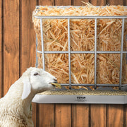 Goat Hay Feeder, 21 Gallons Large Capacity, 2 in 1 Hay and Grain Feeder, Wall Mounted Livestock Feeder with V952-SCWSQEHYBGSWCN87VV0