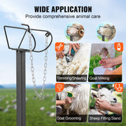 Goat & Sheep Stand, 47x23 inch Livestock Stand, Metal Livestock Milking and Shearing Stand 21" to 33" V952-SCXJJHSYTM47HMU08V0