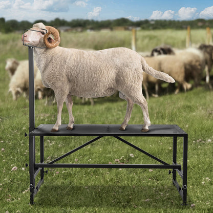 Goat & Sheep Stand, 47x23 inch Livestock Stand, Metal Livestock Milking and Shearing Stand 21" to 33" V952-SCXJJHSYTM47HMU08V0