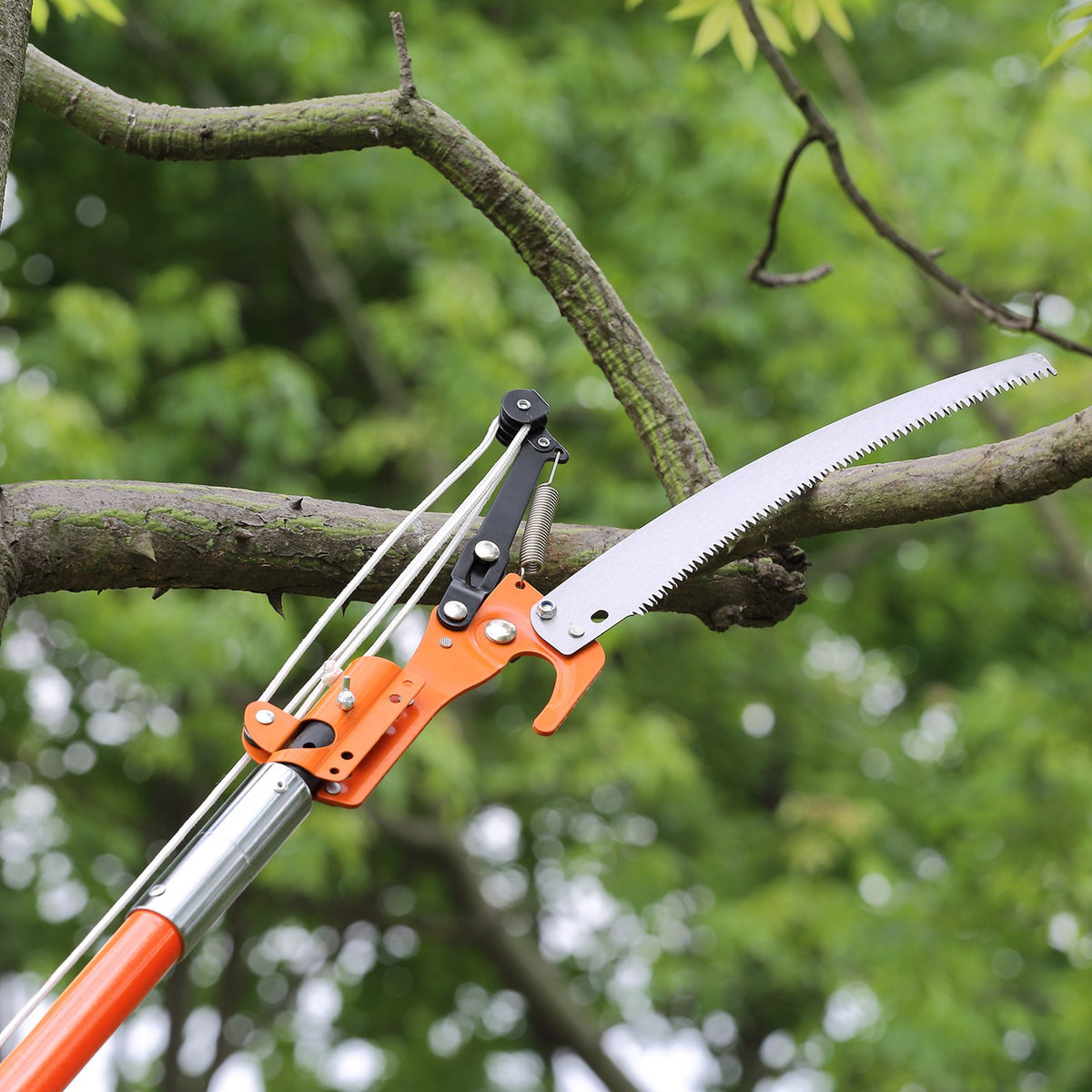 Manual Pole Saw, 2.24 m-8.24 m Extendable Tree Pruner, Sharp Steel Blade and Scissors High Branches Trimming, V952-SDGZJBXZZK8M8K9PGV0