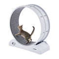 Cat Exercise Wheel, 31.5 in, Large Cat Running Wheel with Secure Brake & Carpeted Runway, Quiet Operation Cat V952-SLMPBJBSPP31K33DZV0