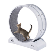 Cat Exercise Wheel, 31.5 in, Large Cat Running Wheel with Secure Brake & Carpeted Runway, Quiet Operation Cat V952-SLMPBJBSPP31K33DZV0
