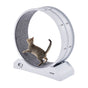 Cat Exercise Wheel, 31.5 in, Large Cat Running Wheel with Secure Brake & Carpeted Runway, Quiet Operation Cat V952-SLMPBJBSPP31K33DZV0